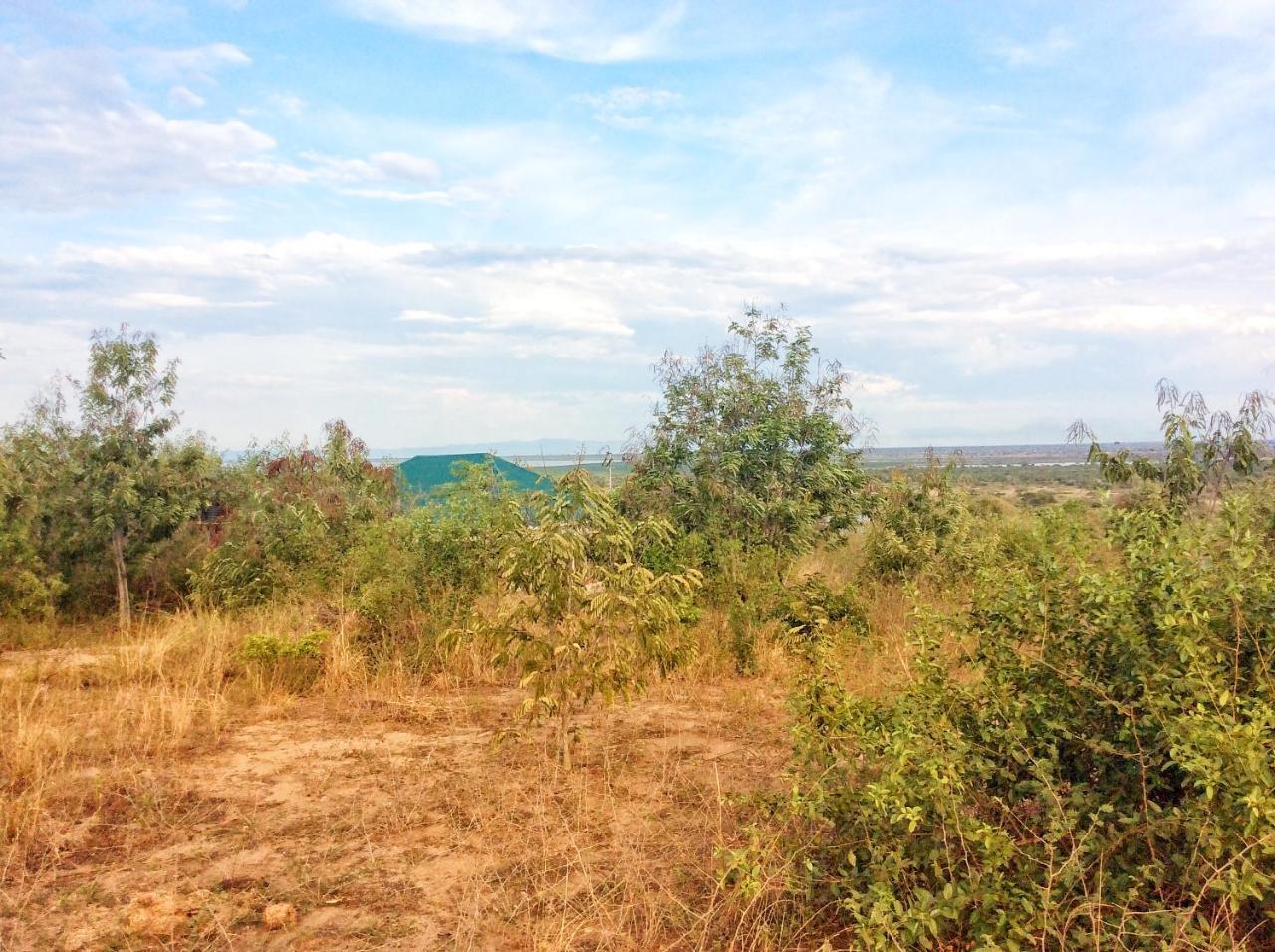 The Elephant Home Katunguru Bagian luar foto